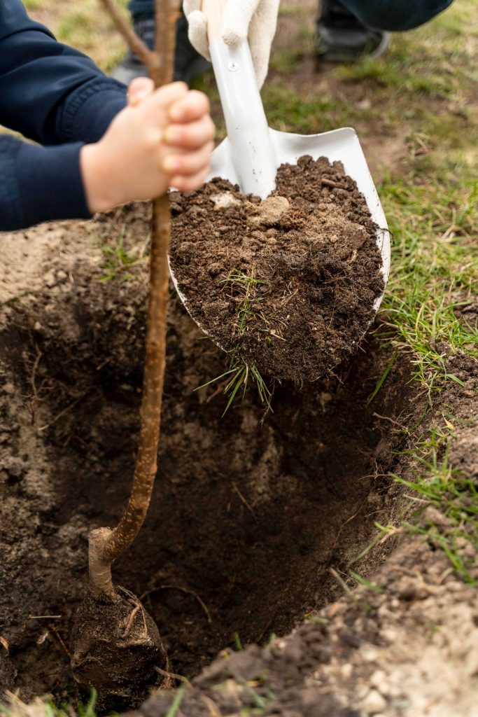 quand recolter son compost