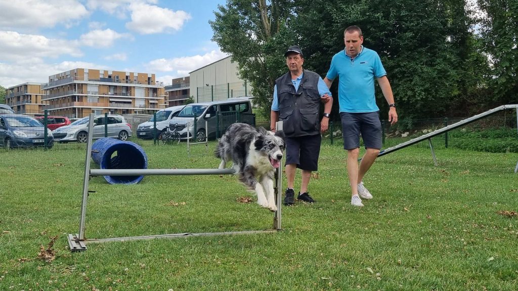 Initiation Sport Handicap : CLUB CANIN