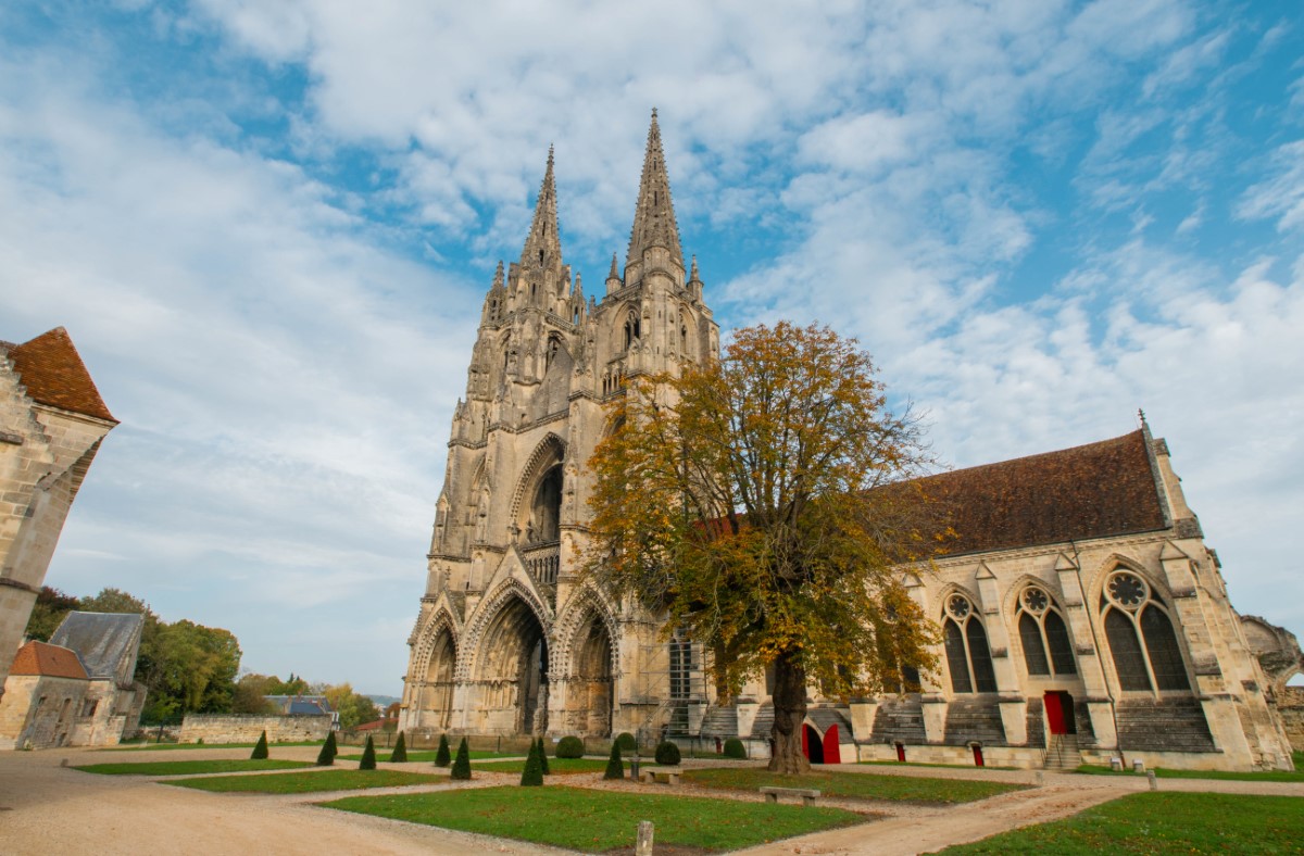 Visite guidée de l'Abbaye Saint-Jean-des-Vignes