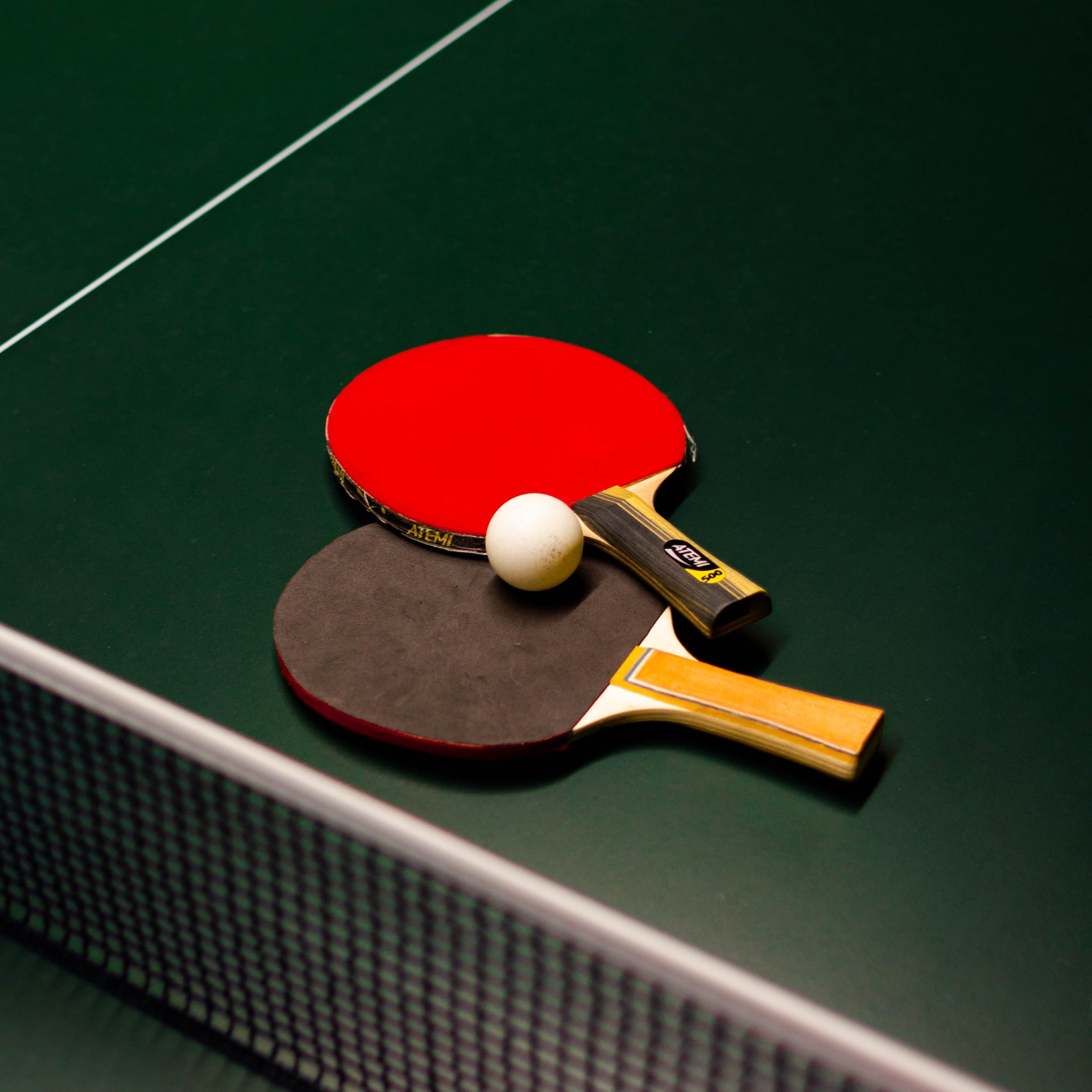Initiation sportive : Tennis de table