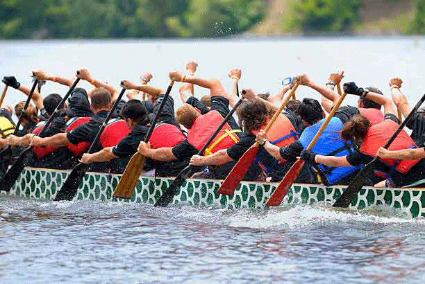 Initiation sportive : Dragon Boat